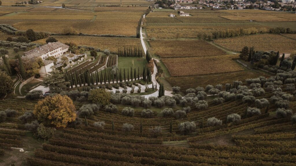 Valpolicella